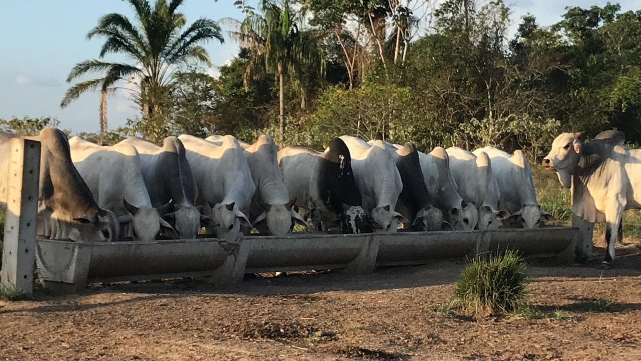 Compromisso com sustentabilidade